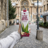 Forever Aloe Berry Nectar™